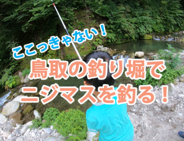 ここっきゃない！鳥取の釣り堀でニジマスを釣る！！